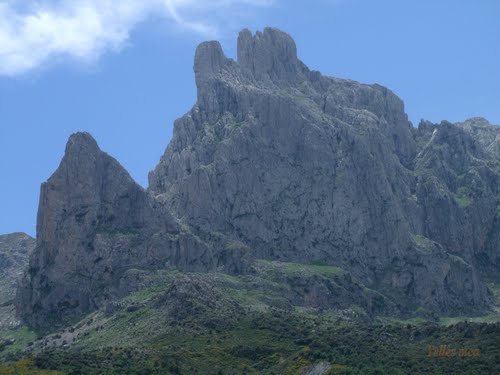 Le Main du Juif, Algeria